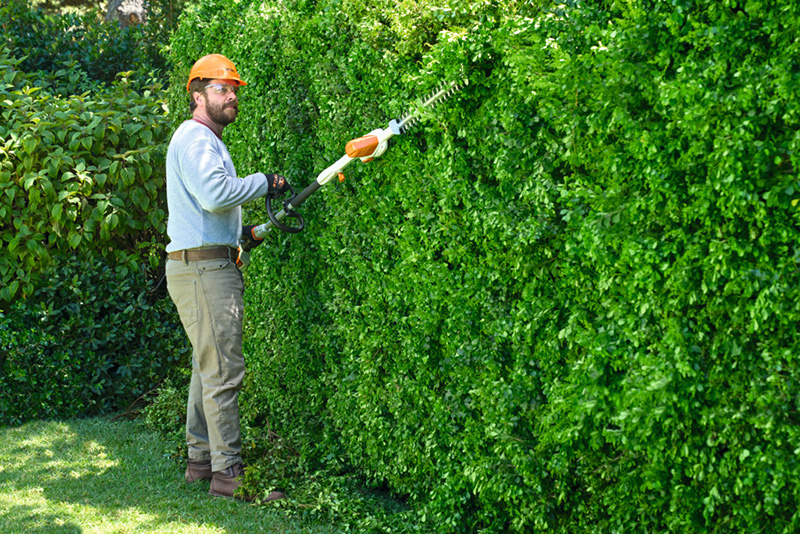 Man using STIHL Hedgetrimmer to trim hedge
