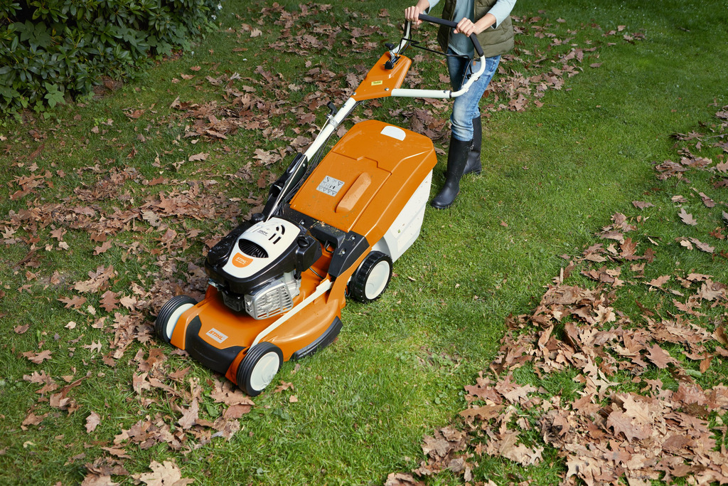 How to Care for Your Lawn in Autumn