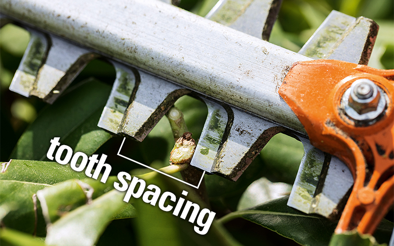 Close-up of the blades of a Hedge Trimmer, illustrating its tooth spacing 
